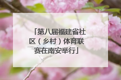 第八届福建省社区（乡村）体育联赛在南安举行